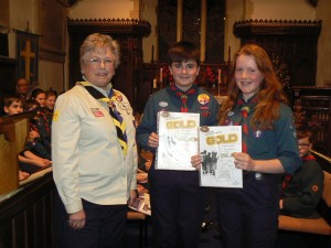 Scout Gold Award