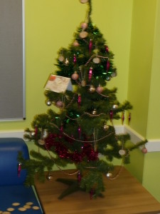 Our very own Christmas tree